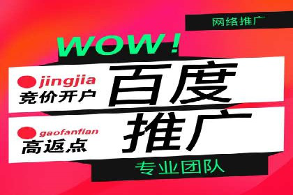 搜索引擎营销（SEM）在本地市场的投放案例