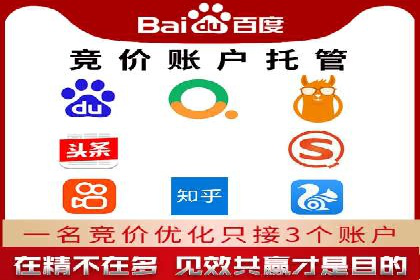 百度SEM推广案例解析：成功秘诀大公开